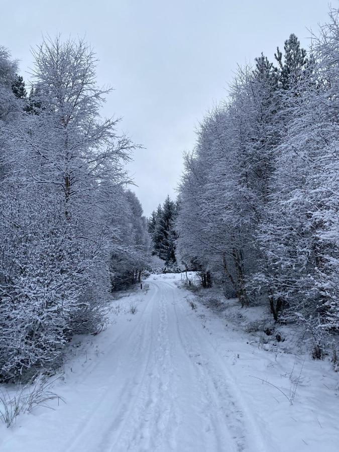 Glenan Lodge Self Catering Tomatin Exteriör bild
